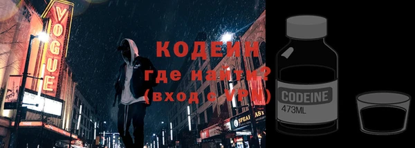 гашик Корсаков