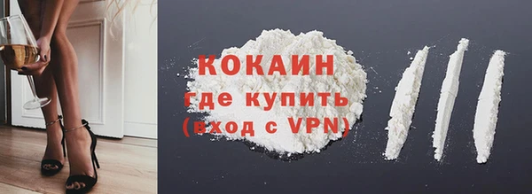 гашик Корсаков