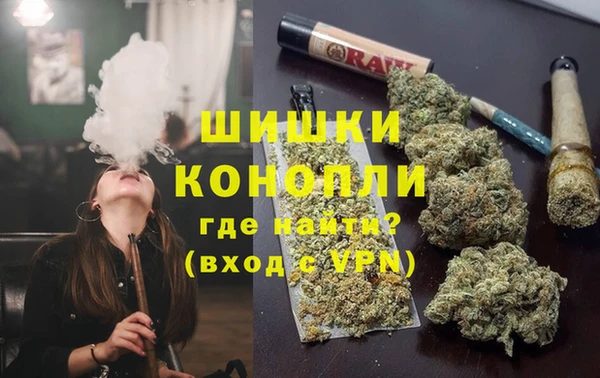 гашик Корсаков