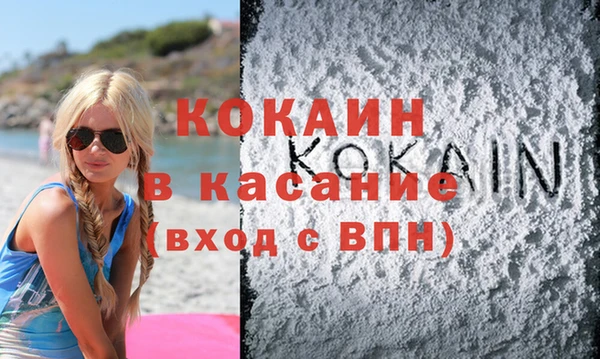 гашик Корсаков