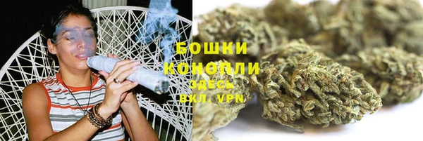 гашик Корсаков