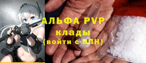 ECSTASY Костерёво