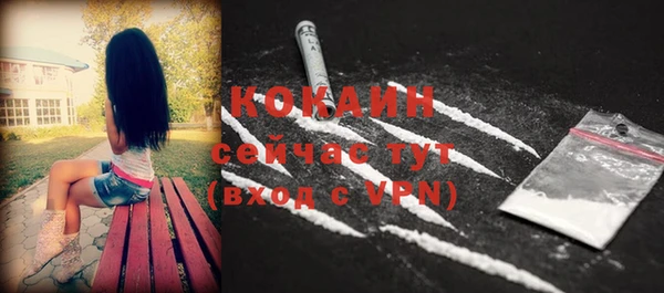 гашик Корсаков