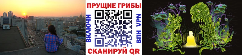 гидра ссылка  Казань  Псилоцибиновые грибы прущие грибы 